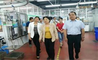 安陽市政協(xié)蒞臨我司實地考察